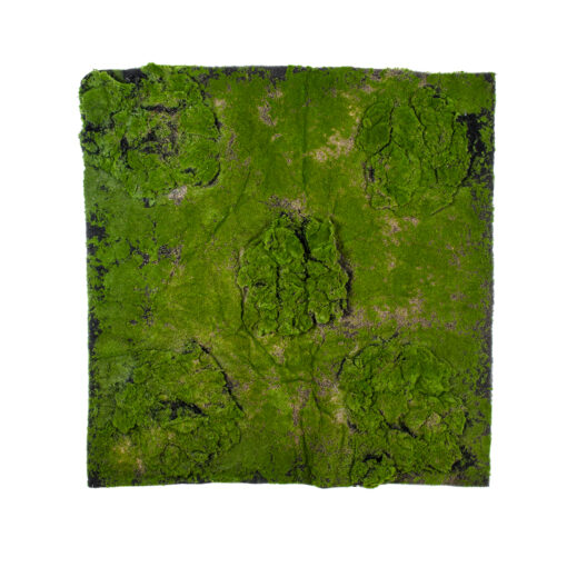 GloboStar® GloboStar® Artificial Garden BRYOPHYTA 20148 Τεχνητό Διακοσμητικό Πάνελ Φυλλωσιάς - Κάθετος Κήπος Βρύα Μ100 x Π100 x Υ4cm