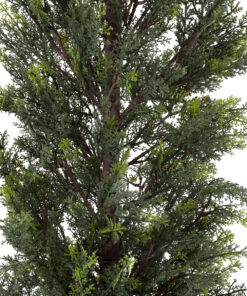 GloboStar® Artificial Garden LEMON CYPRESS 20152 Τεχνητό Διακοσμητικό Φυτό Λεμονόκυπάρισσο Υ150cm 11 20152 4