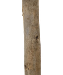 GloboStar® Artificial Garden BUXUS 20158 Τεχνητό Διακοσμητικό Φυτό Πυξός Υ250cm 10 20158 4