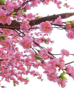 Alternative view of GloboStar® Artificial Garden PEACH BLOSSOM TREE 20159 Τεχνητό Διακοσμητικό Δέντρο Ανθισμένη Ροδακινιά Υ340cm