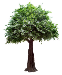 GloboStar® GloboStar® Artificial Garden BANYAN FICUS TREE 20160 Τεχνητό Διακοσμητικό Δέντρο Ινδική Συκιά Φίκος Υ340cm