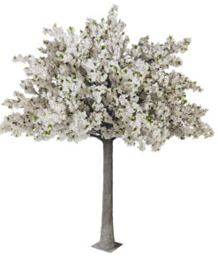 Alternative view of GloboStar® Artificial Garden ALMOND TREE 20163 Τεχνητό Διακοσμητικό Δέντρο Αμυγδαλιά Υ340cm