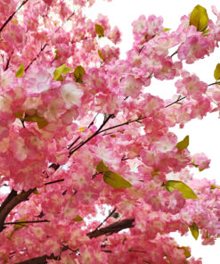 Alternative view of GloboStar® Artificial Garden CHERRY PRUNUS BLOSSOM TREE 20164 Τεχνητό Διακοσμητικό Δέντρο Άνθος Κερασιάς Προύμνη Υ340cm