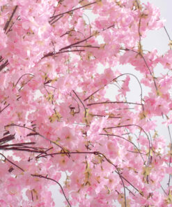 Alternative view of GloboStar® Artificial Garden CHERRY BLOSSOM TREE 20166 Τεχνητό Διακοσμητικό Δέντρο Άνθος Κερασιάς Υ380cm