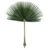 GloboStar® GloboStar® Artificial Garden WASHINGTONIA FILIFERA PALM LEAF 20171 Τεχνητό Διακοσμητικό Φύλο Φοινικόδεντρου Βεντάλια Π170 x Υ200cm