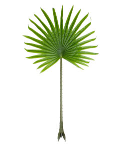 GloboStar® GloboStar® Artificial Garden SERENOA PALM LEAF 20172 Τεχνητό Διακοσμητικό Φύλο Φοινικόδεντρου Σερενόα Βεντάλια Π77 x Υ140cm