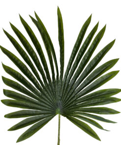Alternative view of GloboStar® Artificial Garden SERENOA PALM LEAF 20173 Τεχνητό Διακοσμητικό Φύλο Φοινικόδεντρου Σερενόα Βεντάλια Π47 x Υ120cm