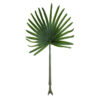 GloboStar® GloboStar® Artificial Garden SERENOA PALM LEAF 20174 Τεχνητό Διακοσμητικό Φύλο Φοινικόδεντρου Σερενόα Βεντάλια Π90 x Υ170cm