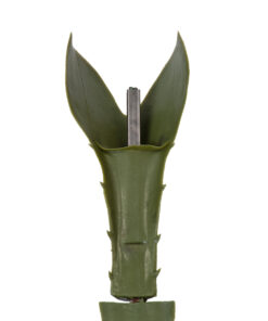 GloboStar® Artificial Garden SERENOA PALM LEAF 20174 Τεχνητό Διακοσμητικό Φύλο Φοινικόδεντρου Σερενόα Βεντάλια Π90 x Υ170cm 15 20174 6