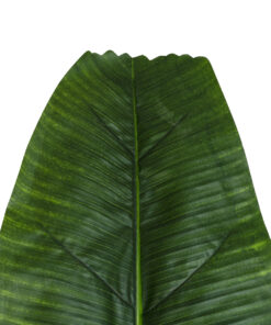 Alternative view of GloboStar® Artificial Garden BANANA TREE LEAF 20177 - Τεχνητό Διακοσμητικό Φύλο Μπανανιάς - Μπανανόδεντρου Π30 x Υ100cm