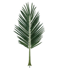 GloboStar® GloboStar® Artificial Garden ARECA PALM LEAF 20179 - Τεχνητό Διακοσμητικό Φύλο Φοινικόδεντρου Αρέκα Π70 x Υ160cm