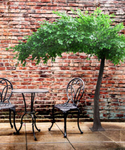 GloboStar® Artificial Garden BANYAN FICUS TREE 20186 Τεχνητό Διακοσμητικό Δέντρο Ινδική Συκιά Φίκος Υ320cm 10 20186