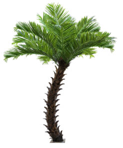 GloboStar® GloboStar® Artificial Garden PHOENIX ROEBELENII PALM TREE 20188 Τεχνητό Διακοσμητικό Φυτό Φοινικόδεντρο Ρομπελίνι Εξωτερικού Χώρου IP68 UV Certified Protection Υ400cm