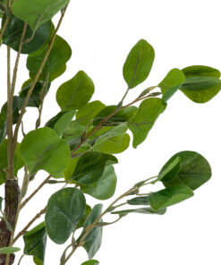 Alternative view of GloboStar® Artificial Garden EUCALYPTUS 20190 Τεχνητό Διακοσμητικό Φυτό Ευκάλυπτος Υ120cm