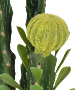 Alternative view of GloboStar® Artificial Garden CEREUS JAMACARU CACTUS 20193 Τεχνητό Διακοσμητικό Φυτό Κάκτος Κηρίος Υ120cm