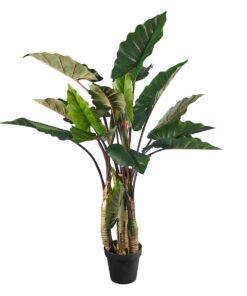 GloboStar® GloboStar® Artificial Garden RAINBOW TARO 20207 Τεχνητό Διακοσμητικό Φυτό Κολοκασία Υ170cm