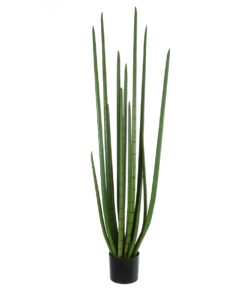 GloboStar® GloboStar® Artificial Garden SANSEVIERIA CYLINDRICA 20211 Τεχνητό Διακοσμητικό Φυτό Σανσεβιέρια Υ160cm