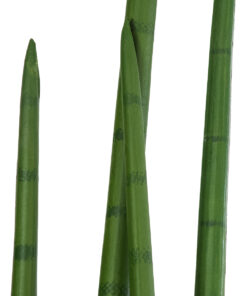 GloboStar® Artificial Garden SANSEVIERIA CYLINDRICA 20211 Τεχνητό Διακοσμητικό Φυτό Σανσεβιέρια Υ160cm 10 20211 3