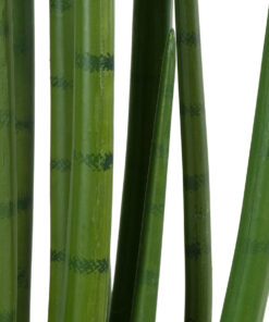 GloboStar® Artificial Garden SANSEVIERIA CYLINDRICA 20211 Τεχνητό Διακοσμητικό Φυτό Σανσεβιέρια Υ160cm 11 20211 4