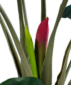 GloboStar® Artificial Garden TARO 20216 Τεχνητό Διακοσμητικό Φυτό Κολοκασία Υ140cm 9 20216 4