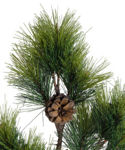 Alternative view of GloboStar® Artificial Garden PINUS MASSONIANA BRANCH 20217 Τεχνητό Διακοσμητικό Κλαδί Πεύκου με Κουκουνάρια Π30 x Υ35cm
