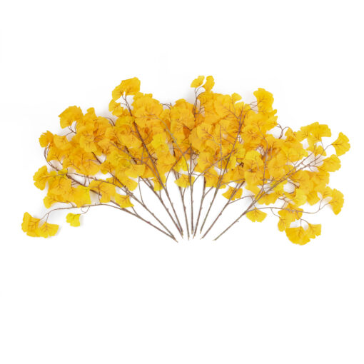 GloboStar® GloboStar® Artificial Garden GINKGO BRANCH 20229 10 x Τεχνητά Διακοσμητικά Κλαδία Γκίγκο Π50 x Υ65cm