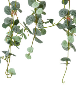 Alternative view of GloboStar® Artificial Garden EUCALYPTUS HANGING BRANCH 20235 Τεχνητό Διακοσμητικό Κρεμαστό Φυτό Ευκάλυπτος Υ75cm