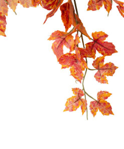 Alternative view of GloboStar® Artificial Garden MAPLE HANGING BRANCH 20243 Τεχνητό Διακοσμητικό Κρεμαστό Φυτό Σφένδαμος Υ80cm