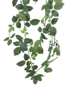 Alternative view of GloboStar® Artificial Garden ROSE IVY HANGING BRANCH 20249 Τεχνητό Διακοσμητικό Κρεμαστό Φυτό Ρίζα - Κισσός Υ130cm