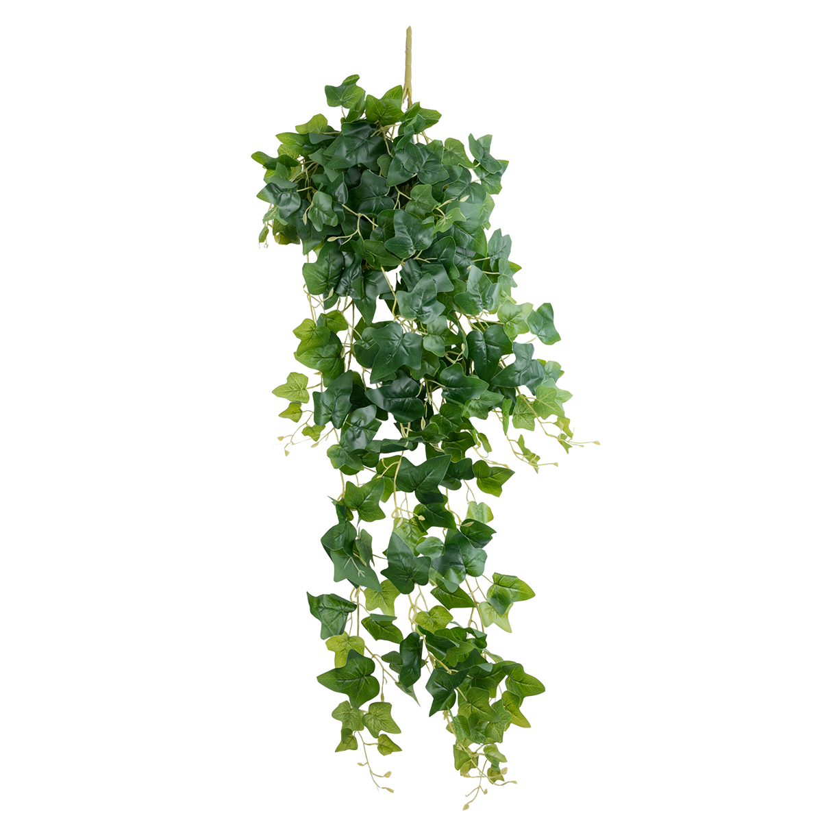 GloboStar® Artificial Garden IVY HANGING BRANCH 20251 Τεχνητό Διακοσμητικό Κρεμαστό Φυτό Κισσός Υ130cm 3 GloboStar® GloboStar® Artificial Garden IVY HANGING BRANCH 20251 Τεχνητό Διακοσμητικό Κρεμαστό Φυτό Κισσός Υ130cm