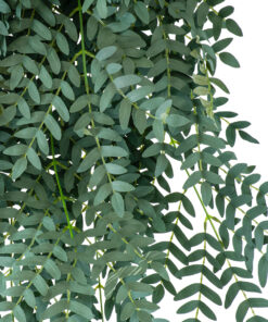 Alternative view of GloboStar® Artificial Garden ACACIA HANGING BRANCH 20254 Τεχνητό Διακοσμητικό Κρεμαστό Φυτό Ακακία Υ130cm