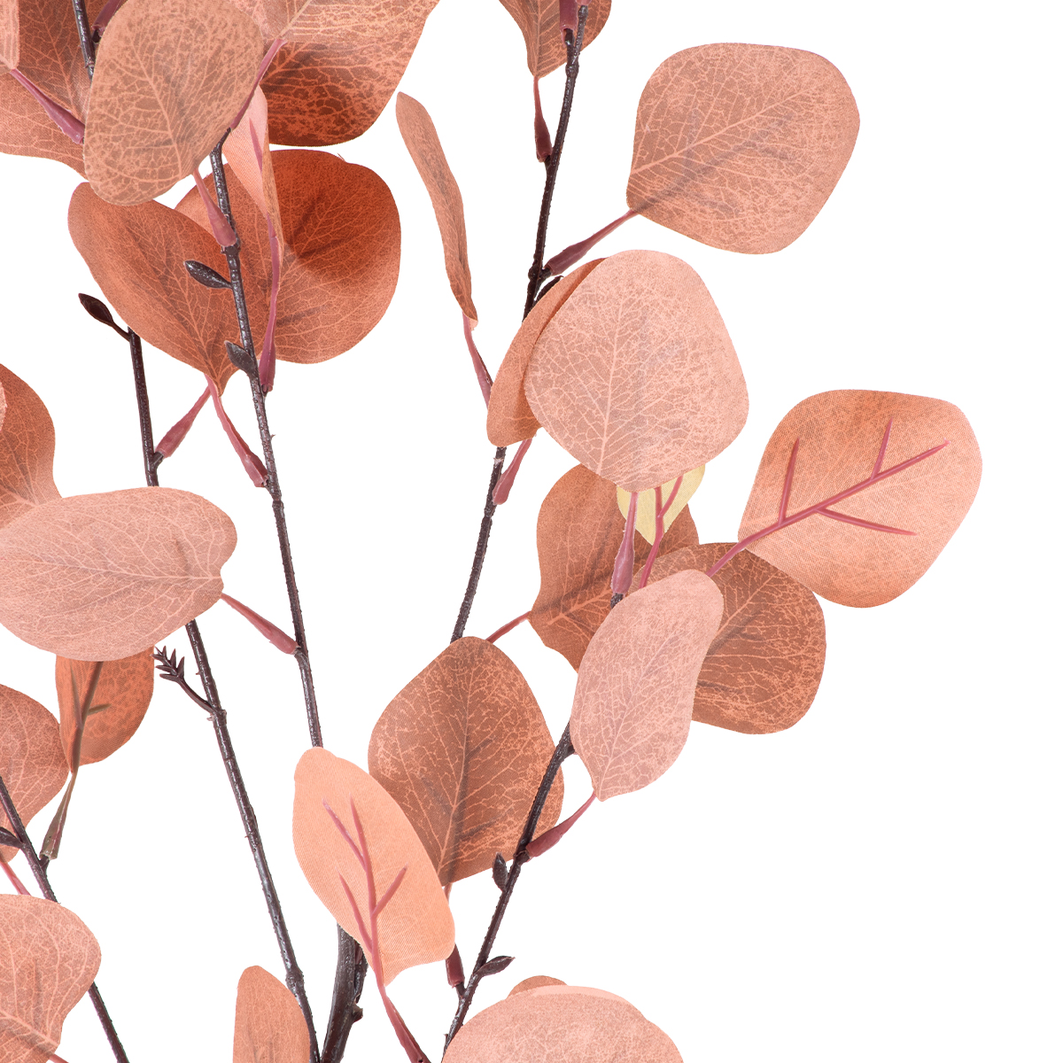 GloboStar® Artificial Garden EUCALYPTUS BRANCH 20257 Τεχνητό Διακοσμητικό Κλαδί Ευκάλυπτου Π27 x Υ93cm 5 GloboStar® Artificial Garden EUCALYPTUS BRANCH 20257 Τεχνητό Διακοσμητικό Κλαδί Ευκάλυπτου Π27 x Υ93cm - Image 3