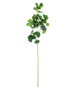 GloboStar® GloboStar® Artificial Garden GINKGO BRANCH 20259 Τεχνητό Διακοσμητικό Κλαδί Γκίγκο Π22 x Υ80cm