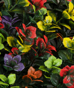 GloboStar® Artificial Garden FICUS GINSENG 20348 Τεχνητό Διακοσμητικό Πάνελ Φυλλωσιάς - Κάθετος Κήπος σύνθεση Πολύχρωμος Φίκος Τζίνσενγκ Μ50 x Π50 x Υ9cm 12 20348 6