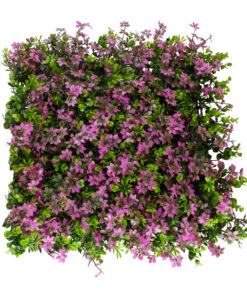 GloboStar® Artificial Garden CYPHEA HYSSOPIFOLIA 20350 Τεχνητό Διακοσμητικό Πάνελ Λουλουδιών - Κάθετος Κήπος σύνθεση Άνθος Κουφέας Μ50 x Π50 x Υ11cm 10 20350 4