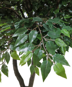 Alternative view of GloboStar® Artificial Garden BANYAN FICUS TREE 20361 Τεχνητό Διακοσμητικό Δέντρο Ινδική Συκιά Φίκος Υ300cm