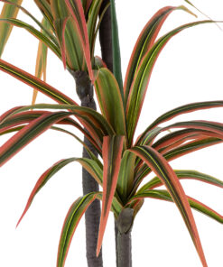 Alternative view of GloboStar® Artificial Garden DRAGON BLOOD TREE 20370 - Τεχνητό Διακοσμητικό Φυτό Δράκαινα Υ150cm