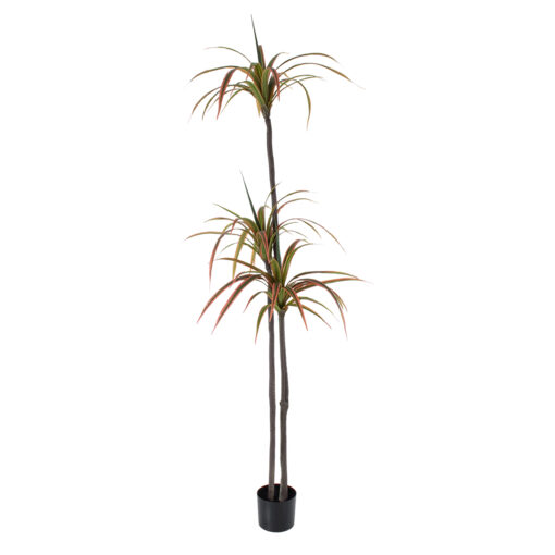 GloboStar® GloboStar® Artificial Garden DRAGON BLOOD TREE 20371 - Τεχνητό Διακοσμητικό Φυτό Δράκαινα Υ220cm