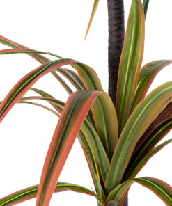 Alternative view of GloboStar® Artificial Garden DRAGON BLOOD TREE 20372 - Τεχνητό Διακοσμητικό Φυτό Δράκαινα Υ180cm