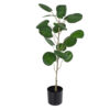GloboStar® GloboStar® Artificial Garden POLYSCIAS BALFOURIANA TREE 20373 Τεχνητό Διακοσμητικό Φυτό Πολυσκιά Υ70cm