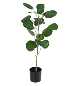 GloboStar® GloboStar® Artificial Garden POLYSCIAS BALFOURIANA TREE 20373 Τεχνητό Διακοσμητικό Φυτό Πολυσκιά Υ70cm