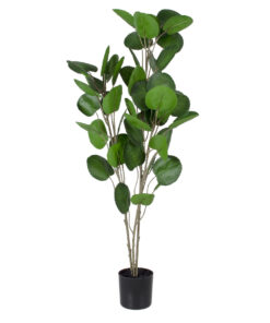 GloboStar® GloboStar® Artificial Garden POLYSCIAS BALFOURIANA TREE 20374 Τεχνητό Διακοσμητικό Φυτό Πολυσκιά Υ110cm