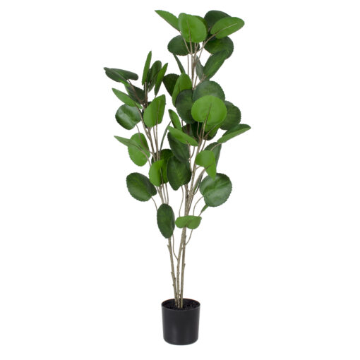 GloboStar® GloboStar® Artificial Garden POLYSCIAS BALFOURIANA TREE 20374 Τεχνητό Διακοσμητικό Φυτό Πολυσκιά Υ110cm