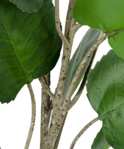 GloboStar® Artificial Garden POLYSCIAS BALFOURIANA TREE 20374 Τεχνητό Διακοσμητικό Φυτό Πολυσκιά Υ110cm 11 20374 4