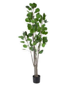 GloboStar® GloboStar® Artificial Garden POLYSCIAS BALFOURIANA TREE 20375 Τεχνητό Διακοσμητικό Φυτό Πολυσκιά Υ180cm