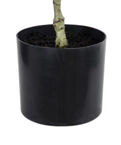 GloboStar® Artificial Garden FICUS RELIGIOSA TREE 20376 Τεχνητό Διακοσμητικό Φυτό Ιερή Συκή Υ50cm 10 20376 4