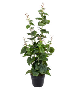 GloboStar® GloboStar® Artificial Garden VITIS GRAPE TREE 20379 Τεχνητό Διακοσμητικό Φυτό Άμπελος Υ90cm