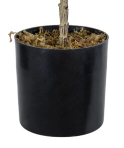 GloboStar® Artificial Garden FIG TREE 20380 Τεχνητό Διακοσμητικό Φυτό Συκιά Υ50cm 14 20380 6