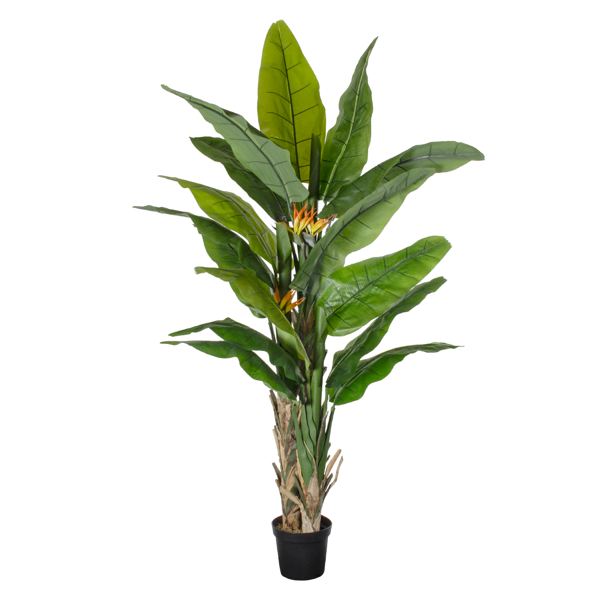 GloboStar® Artificial Garden BANANA STRELITZIA REGINAE 20381 - Τεχνητό Διακοσμητικό Φυτό Μπανανιά - Στρελίτσια - Πουλί του Παραδείσου Υ230cm 3 GloboStar® GloboStar® Artificial Garden BANANA STRELITZIA REGINAE 20381 - Τεχνητό Διακοσμητικό Φυτό Μπανανιά - Στρελίτσια - Πουλί του Παραδείσου Υ230cm