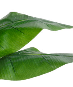 GloboStar® Artificial Garden BANANA STRELITZIA REGINAE 20381 - Τεχνητό Διακοσμητικό Φυτό Μπανανιά - Στρελίτσια - Πουλί του Παραδείσου Υ230cm 11 20381 3